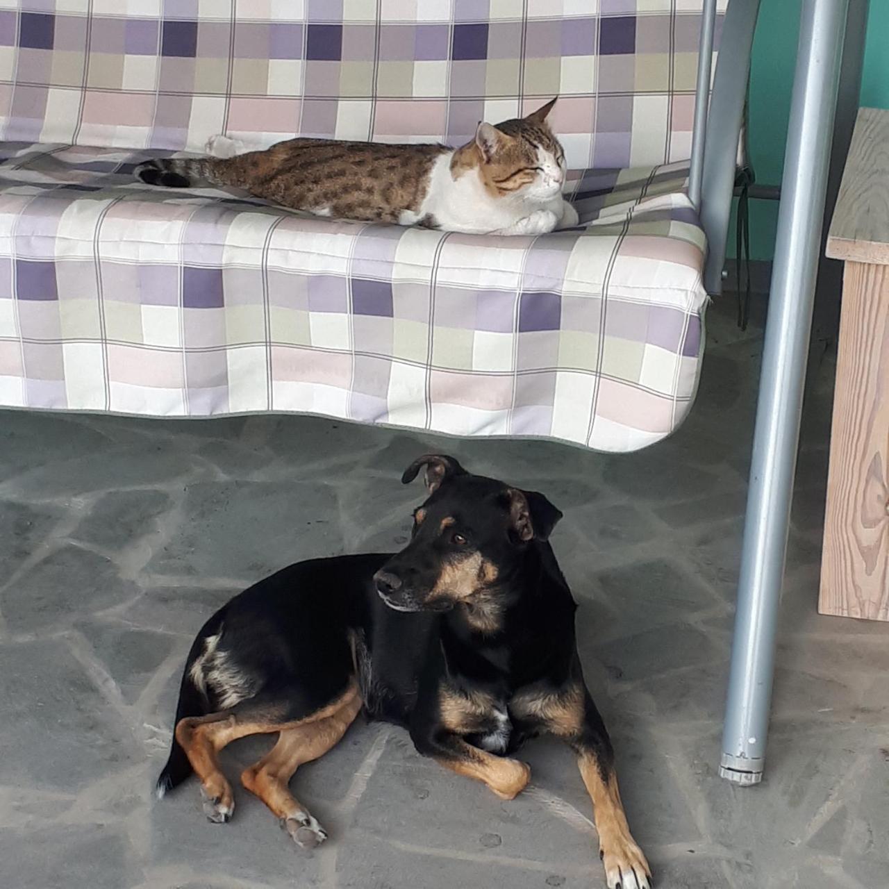 Bed & Breakfast 3 Gs Goght' Екстериор снимка